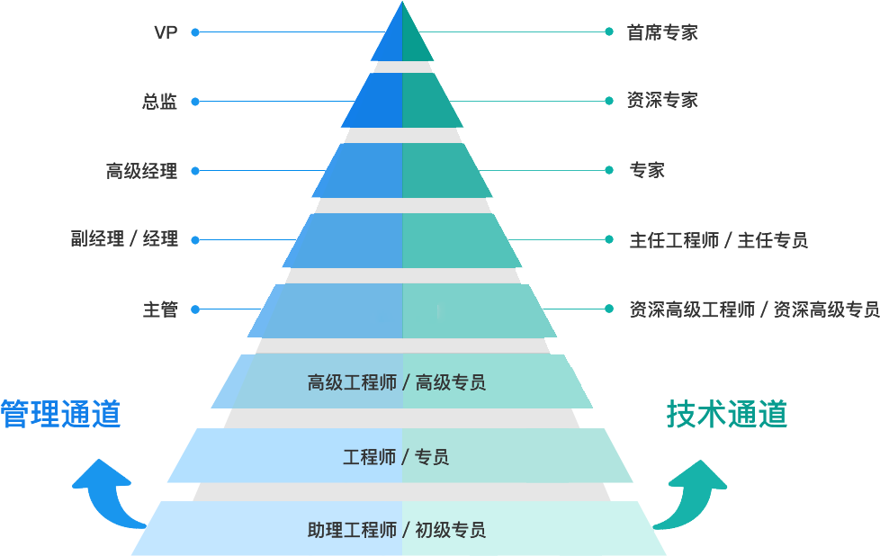 雙通道發展路徑